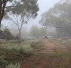 Heritage Park Bathurst - Coogee Beach Accommodation