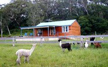 Moorallie Cottage Farm Stay - Coogee Beach Accommodation 0