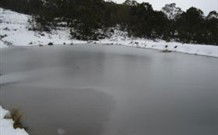 Savernake Farm Stay - Coogee Beach Accommodation 1