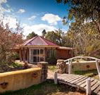 Starline Alpaca Farm Stay - Coogee Beach Accommodation
