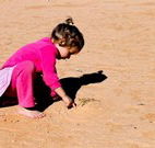 Stony Creek Farm B and B - Coogee Beach Accommodation