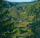 Yarralong BnB and Farm Stay - Coogee Beach Accommodation