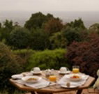 Barefoot Springs Bed and Breakfast - Coogee Beach Accommodation