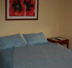 Busy Buzz - Coogee Beach Accommodation