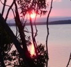 By the Beach B and B Holiday Apartments - - Coogee Beach Accommodation