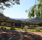 Cedar Grove - - Coogee Beach Accommodation