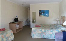El Sierra Motel - Coogee Beach Accommodation 3