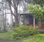 Ghost Hill Road - Coogee Beach Accommodation