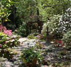 Kubba Roonga Guesthouse - Coogee Beach Accommodation