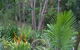 Old Convent River Retreat - thumb 1