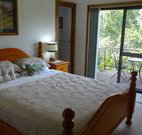 Peaceful Palms Bed and Breakfast - - Coogee Beach Accommodation