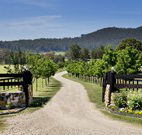 Pemberley Grange Hunter Valley Getaway - Coogee Beach Accommodation