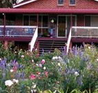 Rose Patch Bed and Breakfast - Coogee Beach Accommodation