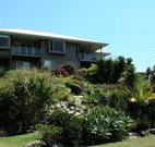 Sapphire Beach BB - - Coogee Beach Accommodation
