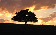 Silos Estate - - Coogee Beach Accommodation 3