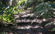 Studio Cottages - Coogee Beach Accommodation 5