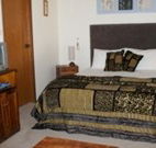 Tall Trees Bed and Breakfast - - Coogee Beach Accommodation