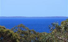 Tree Tops Bed And Breakfast Jervis Bay - Coogee Beach Accommodation 2