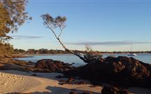 Tree Tops Bed And Breakfast Jervis Bay - Coogee Beach Accommodation 6