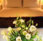 Winton Luxury Bed and Breakfast - Coogee Beach Accommodation