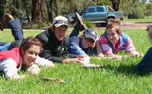 Murwillumbah  YHA Mount Warning - Coogee Beach Accommodation 2