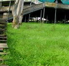 Snowy Valley Resort - Coogee Beach Accommodation