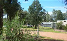 Carrie's Cottage - Coogee Beach Accommodation 2