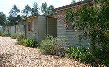 Carrie's Cottage - Coogee Beach Accommodation 0