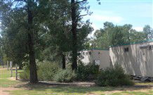 Carrie's Cottage - Coogee Beach Accommodation 3