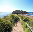 Dam It Getaway - Coogee Beach Accommodation