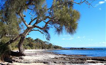David Jones Cottage - Coogee Beach Accommodation 0