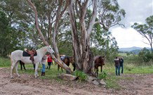 In Essentia Healing Hut Of Kangaroo Valley - Coogee Beach Accommodation 1