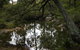 In Essentia Healing Hut Of Kangaroo Valley - thumb 0