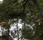 In Essentia Healing Hut of Kangaroo Valley - Coogee Beach Accommodation