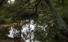 In Essentia Healing Hut Of Kangaroo Valley - Coogee Beach Accommodation 0