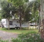 Gum Tree Heaven - Coogee Beach Accommodation