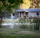 Mt Clunie Cabins - Coogee Beach Accommodation