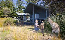 Norman Lindsay Cottage - Coogee Beach Accommodation 9