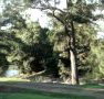 Rustic Caravan Park - Coogee Beach Accommodation