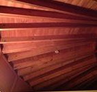 Sea Cottage - Coogee Beach Accommodation