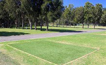 Spotted Gums On Hermitage - Coogee Beach Accommodation 0