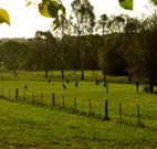 Stone Cottage Mittagong - Coogee Beach Accommodation
