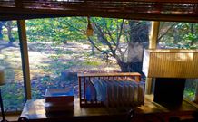 The Pines Pastoral - Coogee Beach Accommodation 3
