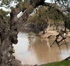 Valley View Cottage Hunter Valley - Coogee Beach Accommodation