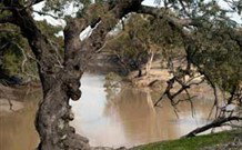 Valley View Cottage Hunter Valley - Coogee Beach Accommodation 0