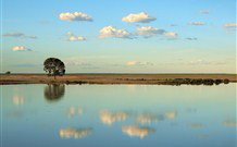 Valley View Cottage Hunter Valley - Coogee Beach Accommodation 4