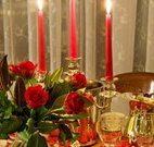 Wee Jasper Stables Tavern - Coogee Beach Accommodation