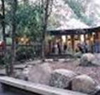 Williams River Holiday Park - Coogee Beach Accommodation