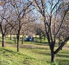 Worrowing Boat Shed - Coogee Beach Accommodation