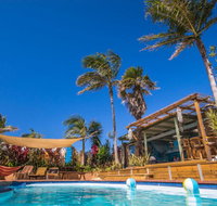 Port Macquarie YHA - Ozzie Pozzie Backpackers - Coogee Beach Accommodation